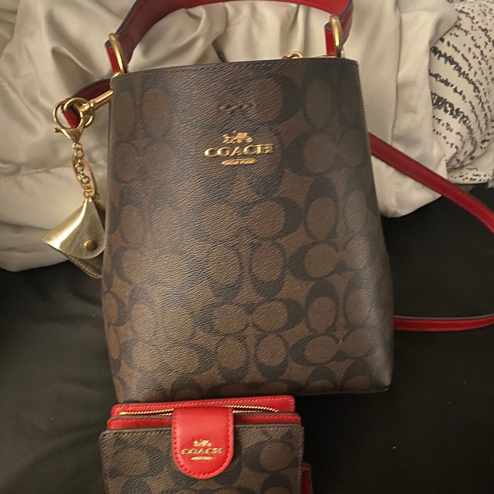 Coach Bucket Swing Bag
